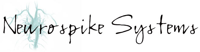 Neurospike Digital Media Production